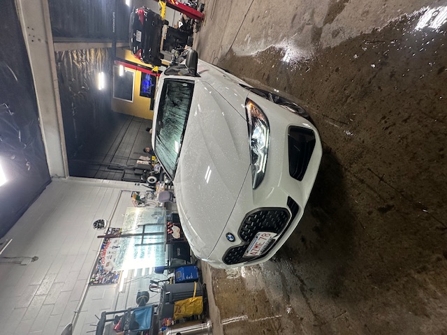Paint Protection